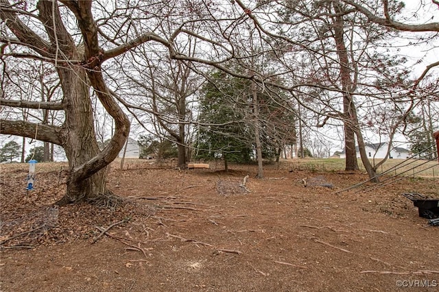 view of local wilderness