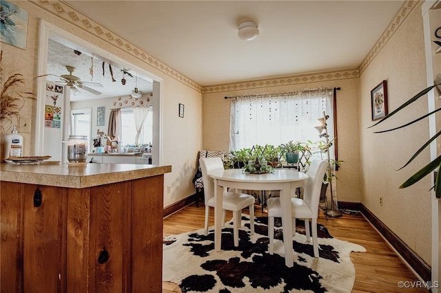 dining area featuring light wood finished floors, ceiling fan, and baseboards