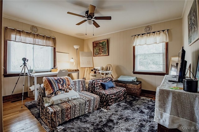 living room with ceiling fan, wood finished floors, a wealth of natural light, and ornamental molding