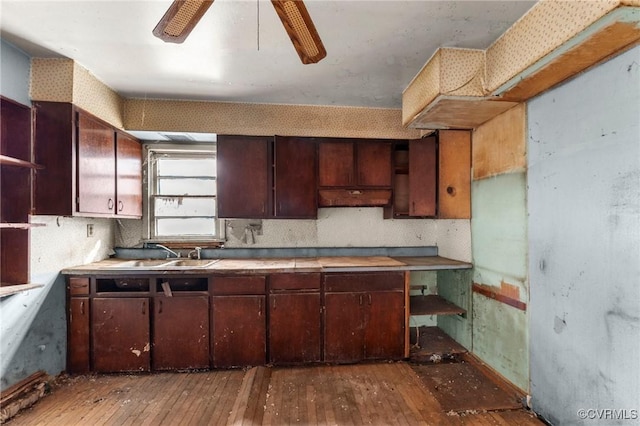 kitchen featuring dark brown cabinets, hardwood / wood-style flooring, ceiling fan, and a sink