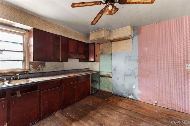 kitchen with a sink, open shelves, ceiling fan, and dark wood-style flooring