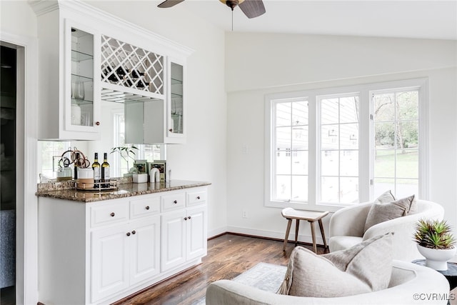 bar featuring dark wood finished floors, vaulted ceiling, plenty of natural light, and a ceiling fan