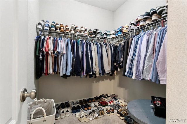 view of walk in closet