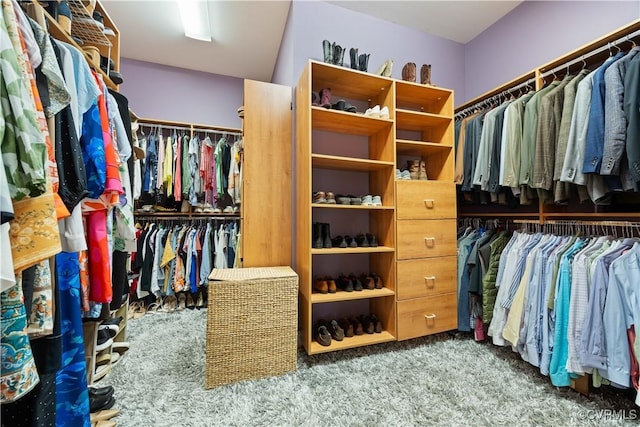 walk in closet with carpet