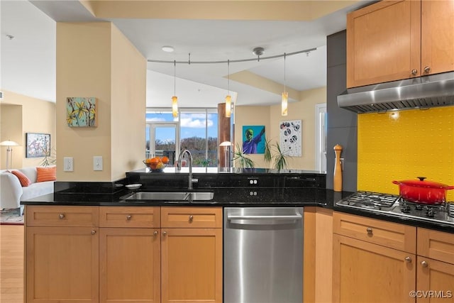 kitchen featuring a peninsula, a sink, stainless steel appliances, under cabinet range hood, and tasteful backsplash