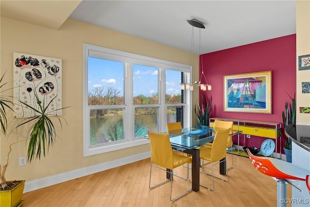 dining room with baseboards and hardwood / wood-style flooring