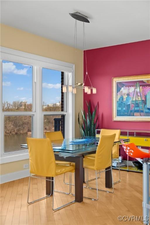 dining room featuring wood finished floors