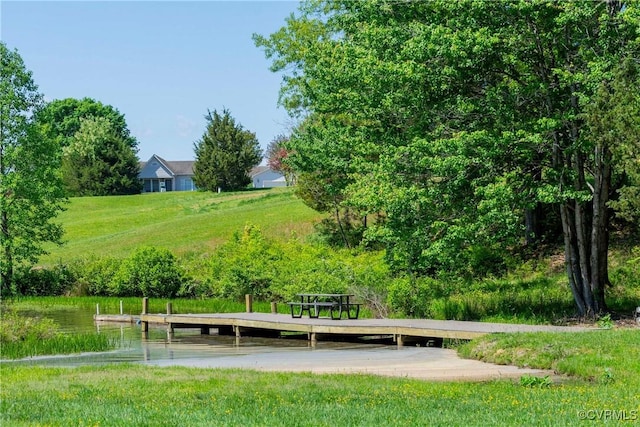 6210 Stubbs Cove Ln, Spotsylvania, VA 22551 - view of home's community with a dock