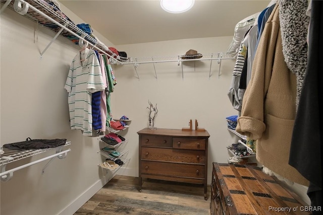 walk in closet featuring wood finished floors