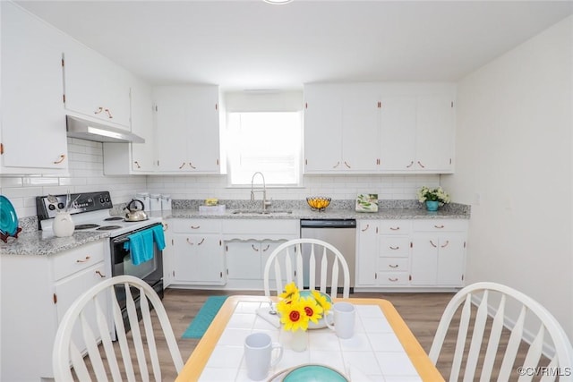 kitchen featuring a sink, under cabinet range hood, range with electric stovetop, stainless steel dishwasher, and tasteful backsplash