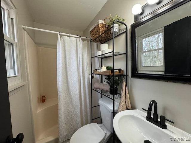 bathroom featuring a sink, a shower with curtain, and toilet