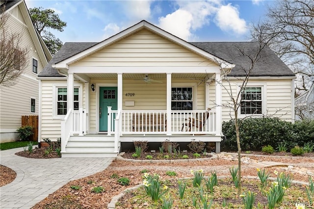 bungalow-style home with roof with shingles, a porch, and a ceiling fan