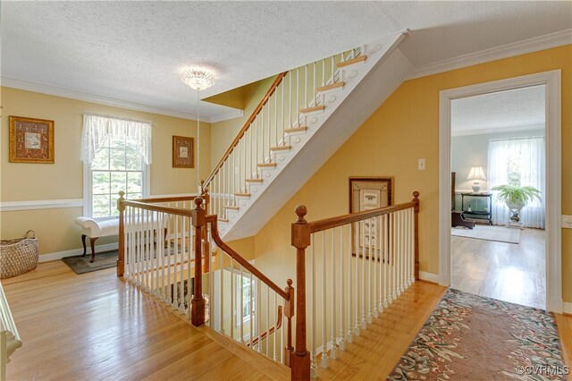 1517 Old Church Rd, Mechanicsville, VA 23111 - photo 22