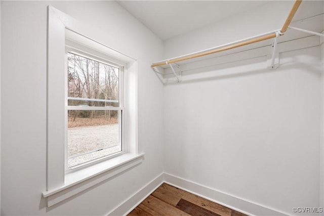 walk in closet featuring dark wood finished floors