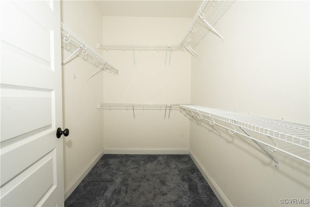 3006 Appomattox Trace Ln, Powhatan, VA 23139 - photo 25