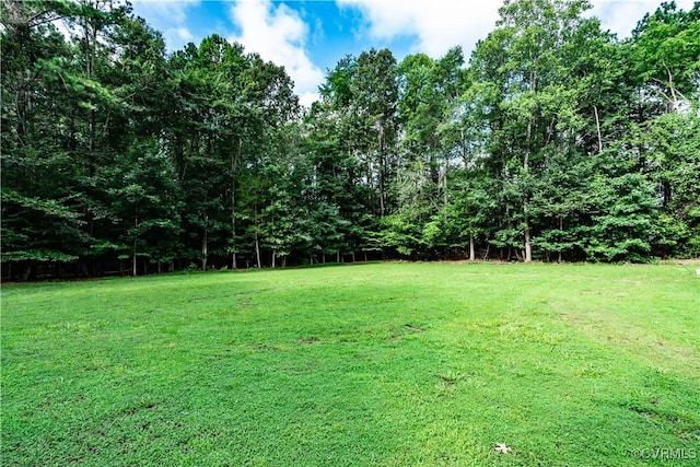 3006 Appomattox Trace Ln, Powhatan, VA 23139 - photo 36