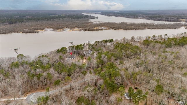 drone / aerial view with a water view and a forest view