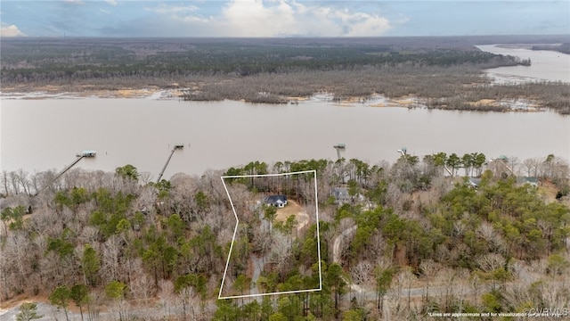 aerial view featuring a wooded view and a water view