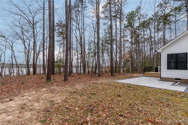 view of yard featuring a patio