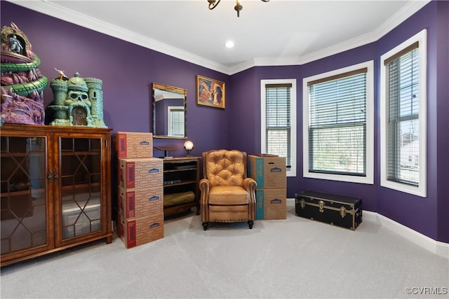 sitting room featuring ornamental molding, baseboards, and carpet