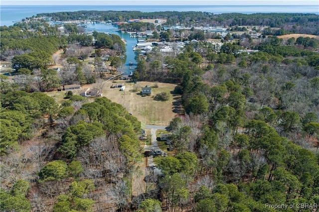 257 Horseshoe Bend Rd, Deltaville, VA 23043 - aerial view of property and surrounding area with a nearby body of water and a forest