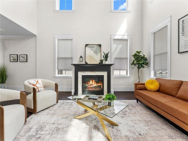 living area with baseboards, wood finished floors, a towering ceiling, and a fireplace