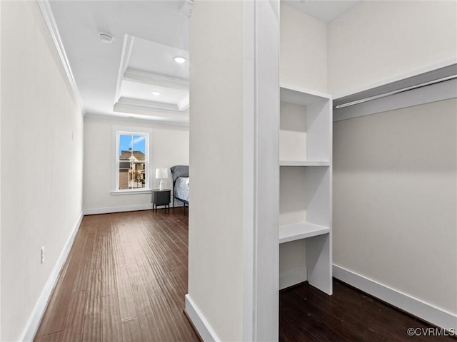 walk in closet featuring a raised ceiling and hardwood / wood-style flooring