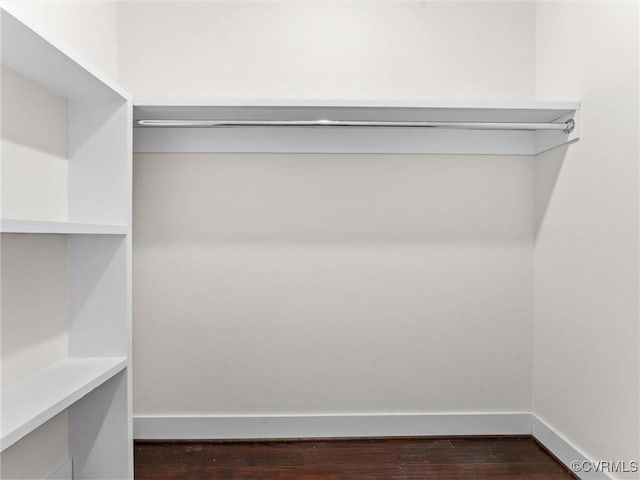 spacious closet featuring dark wood-type flooring