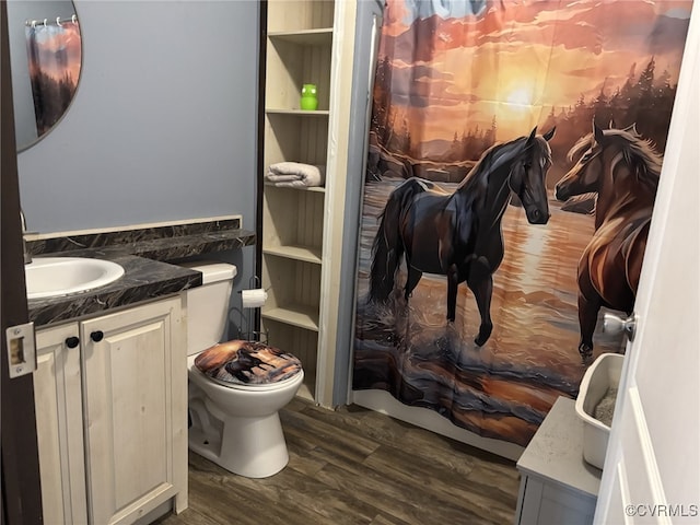 16690 Shands Rd, South Prince George, VA 23805 - bathroom with vanity, toilet, and wood finished floors