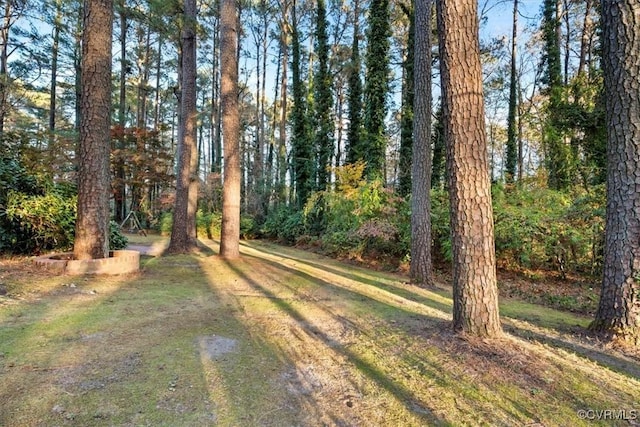 view of yard with a forest view