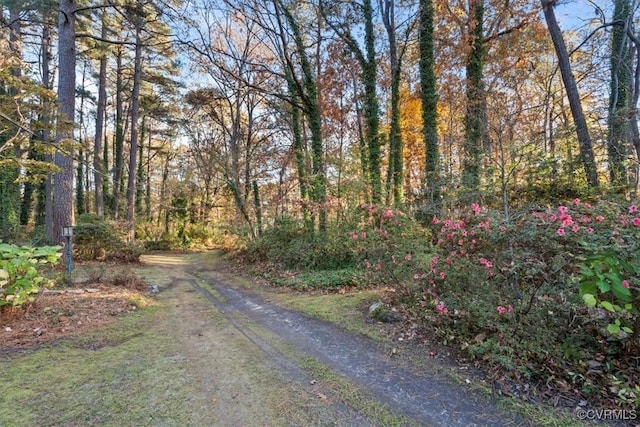 view of street featuring a view of trees