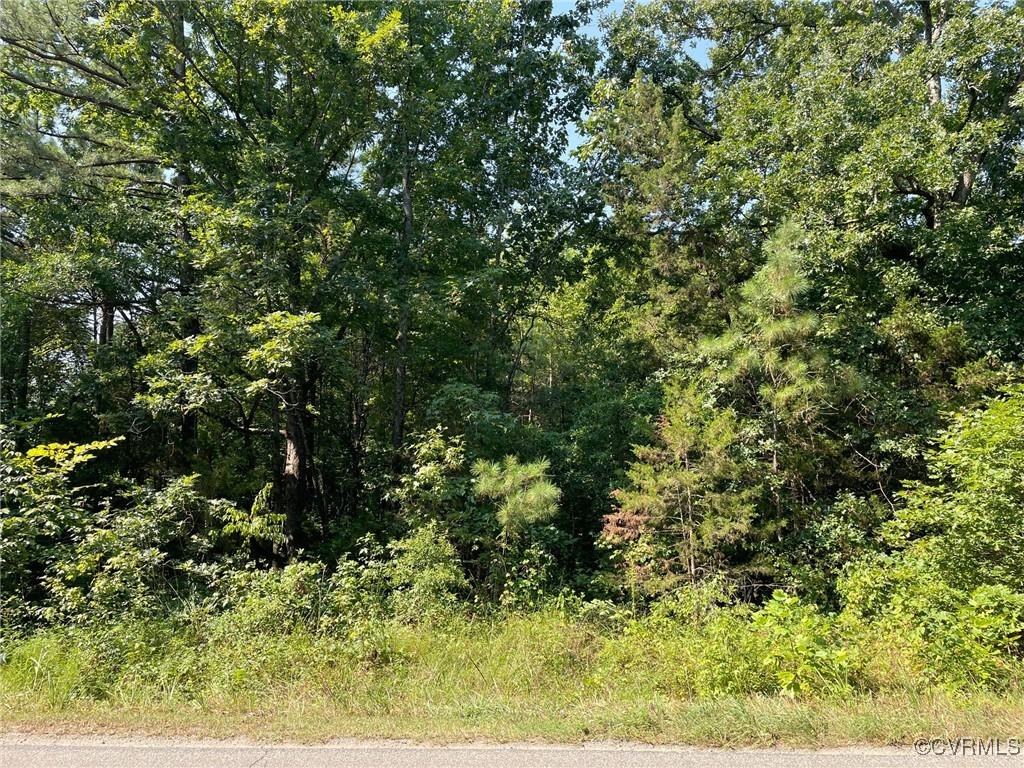 16091 Beaverdam School Rd, Beaverdam, VA 23015