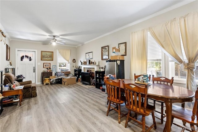 dining area with light wood finished floors, a fireplace, crown molding, and a healthy amount of sunlight