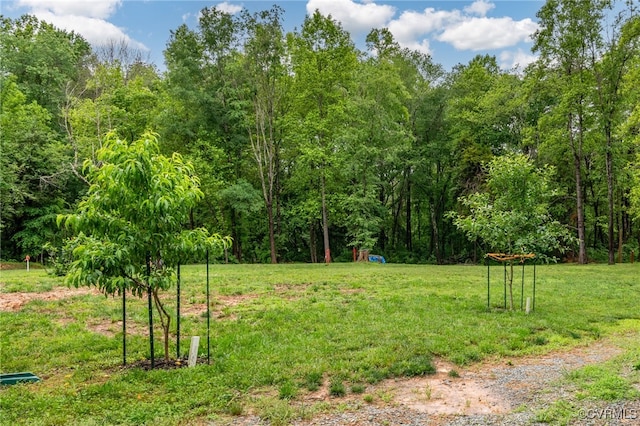 42 Mt Elba Rd, Columbia, VA 23038 - view of green lawn with a view of trees