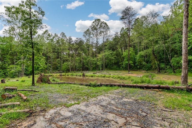 42 Mt Elba Rd, Columbia, VA 23038 - view of yard featuring a forest view