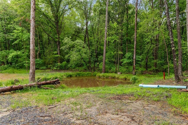 42 Mt Elba Rd, Columbia, VA 23038 - view of yard with a view of trees