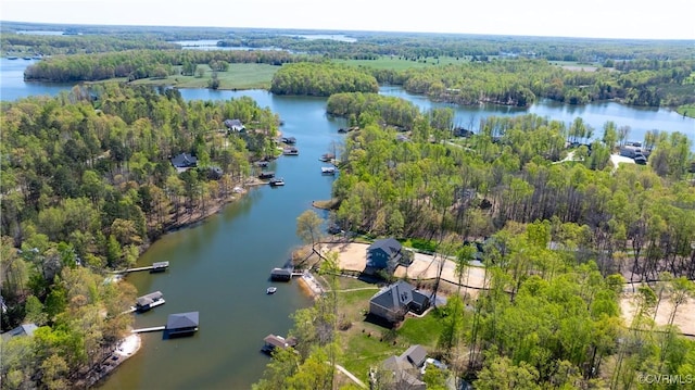 1729 Lake Forest Dr, Mineral, VA 23117 - bird's eye view with a wooded view and a water view