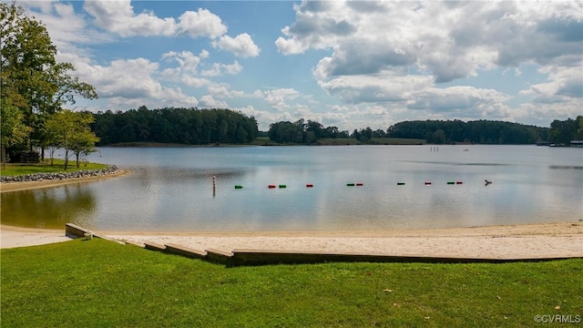 1729 Lake Forest Dr, Mineral, VA 23117 - property view of water