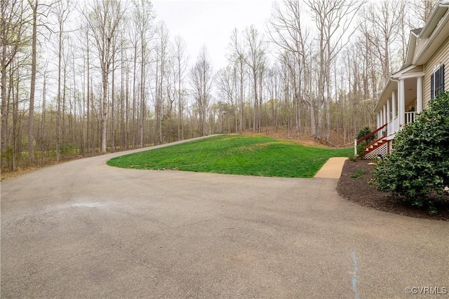 1635 Dorset Meadows Ln, Powhatan, VA 23139 - view of green lawn with stairway