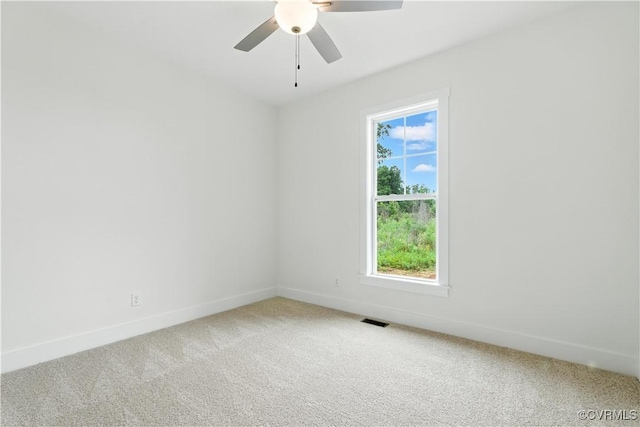 5782 Darlington Heights Rd, Farmville, VA 23901 - photo 18