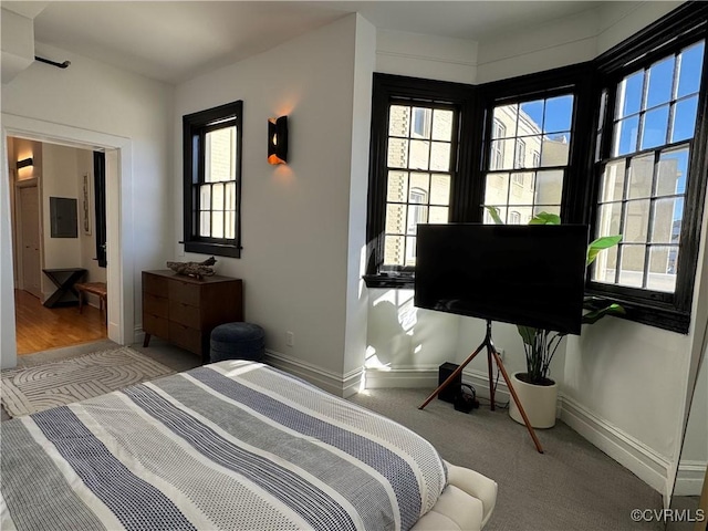 bedroom with electric panel, multiple windows, and baseboards