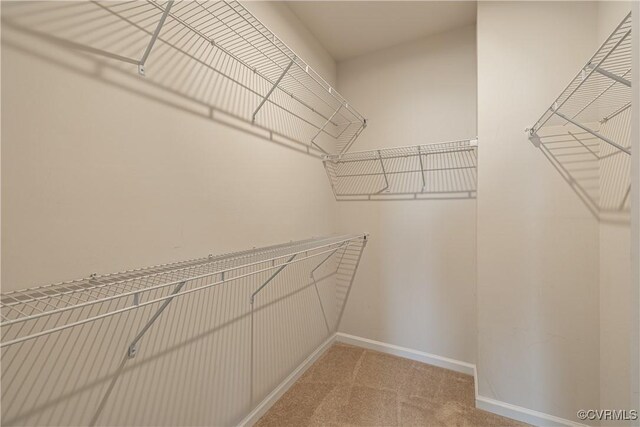 6328 Gossamer Aly, Moseley, VA 23120 - spacious closet featuring light carpet