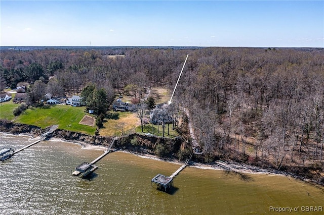 289 Oyster Shell Rd, Laneview, VA 22560 - view of property location featuring a heavily wooded area and a nearby body of water