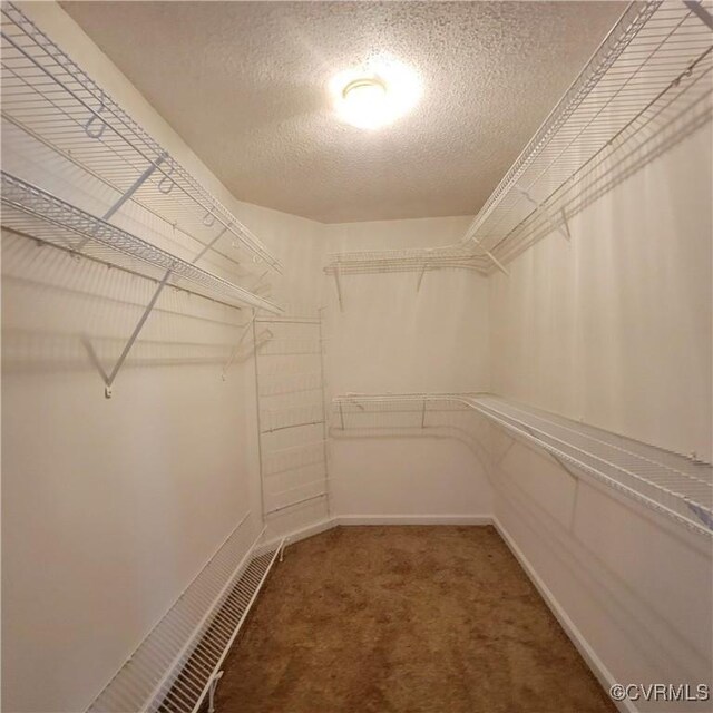 6118 Pond Grass Rd, Mechanicsville, VA 23111 - spacious closet with light carpet
