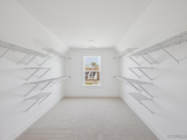 spacious closet with carpet floors and vaulted ceiling
