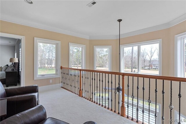 14424 Riverside Dr, Ashland, VA 23005 - photo 37