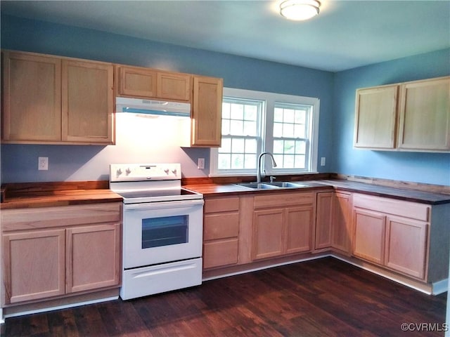 kitchen featuring white electric stove, ventilation hood, a sink, dark wood-type flooring, and butcher block counters