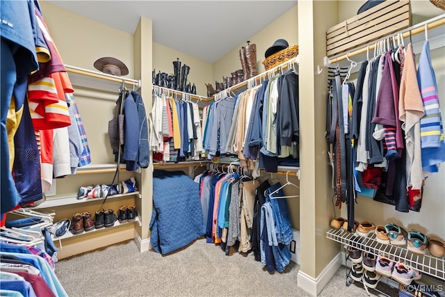 spacious closet with carpet