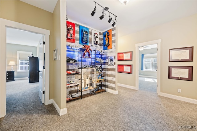 interior space featuring baseboards, rail lighting, and carpet flooring