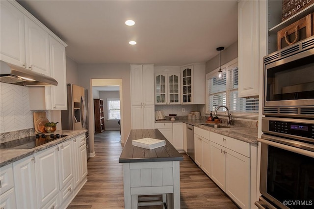 2810 Winterfield Rd, Midlothian, VA 23113 - kitchen featuring appliances with stainless steel finishes, under cabinet range hood, healthy amount of natural light, recessed lighting, and backsplash